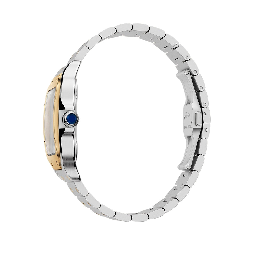 Santos de Cartier Large Model | 40mm, Two-Tone Steel & 18K Yellow Gold, Silver Dial